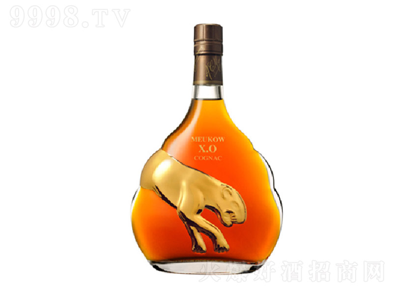 īXOذء40 700ml