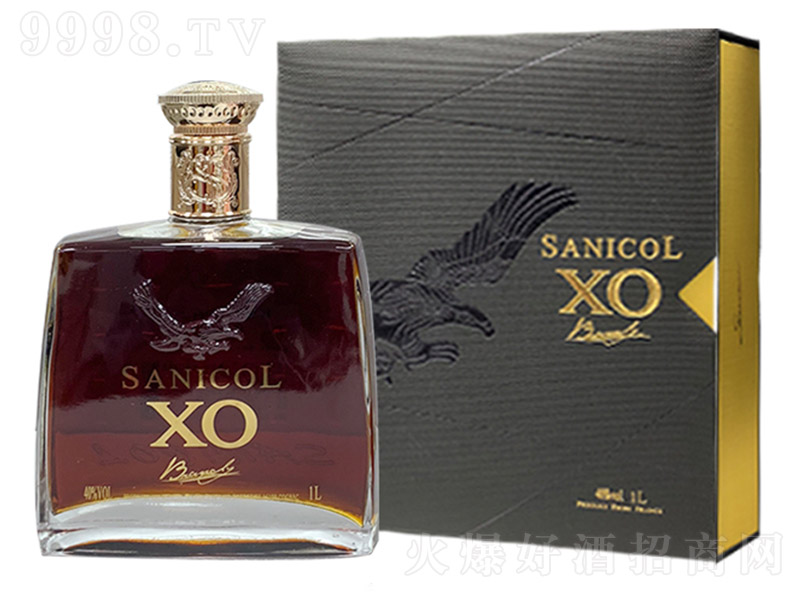 ݿXOغС40 1000ml