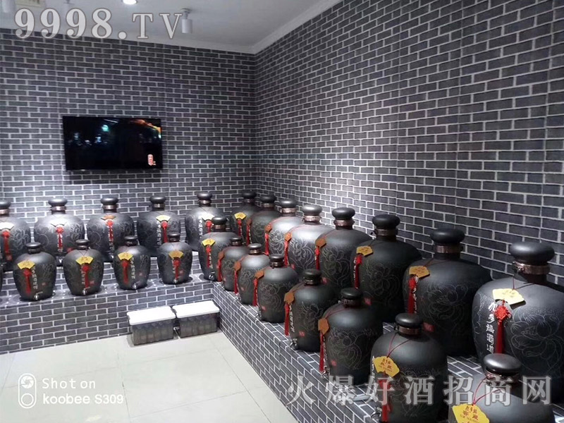 ӶรƵݼ˵Ʒչʾ