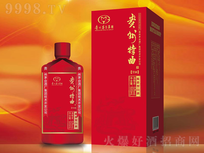 T10 Ͱ׾ơ53 500ml