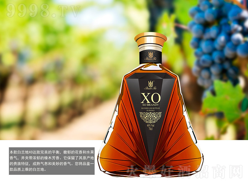 ɽͼXO40 700ml