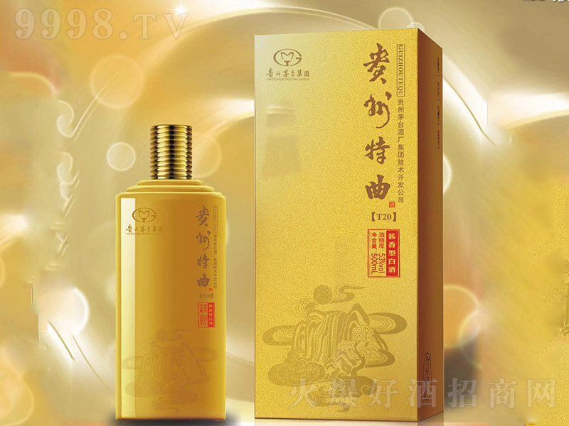 T20 Ͱ׾ơ53 500ml