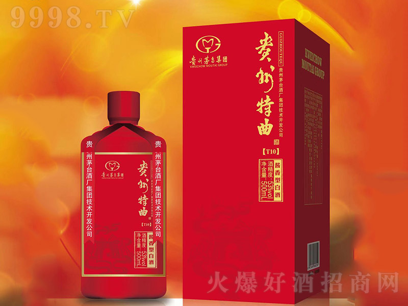 T10 Ͱ׾ơ53 500ml