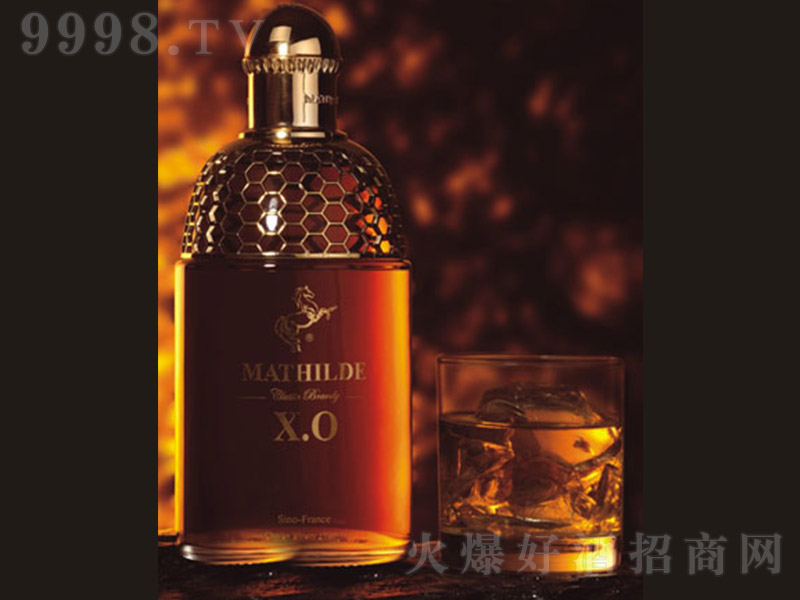 ۶XO1000ml