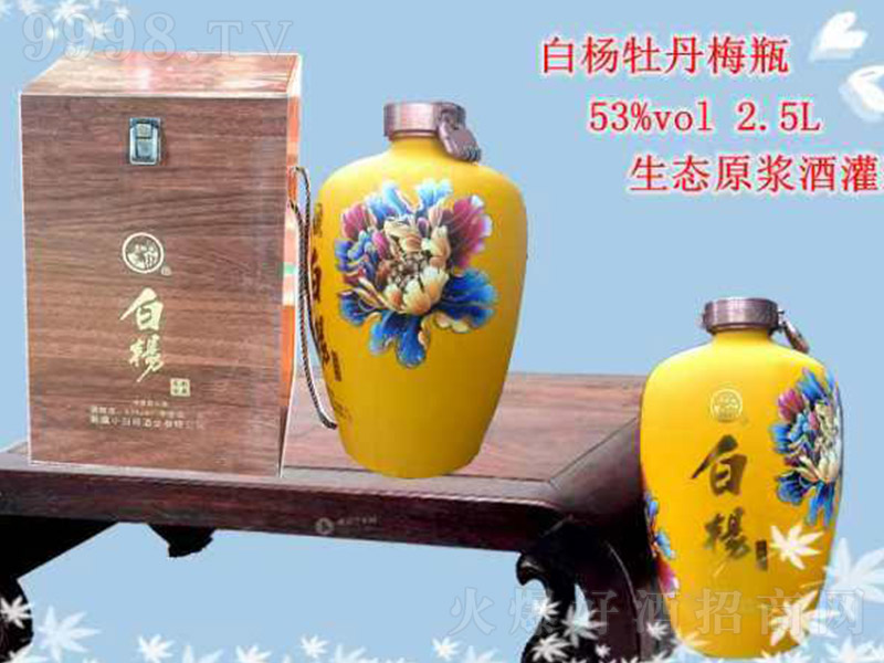 ĵ÷ƿ Ũ͡53 2.5L