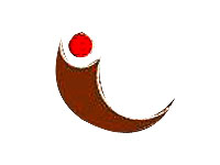 ݽǰҵ޹˾