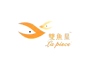 ˫ó޹˾