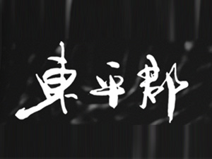ɽƽҵ޹˾