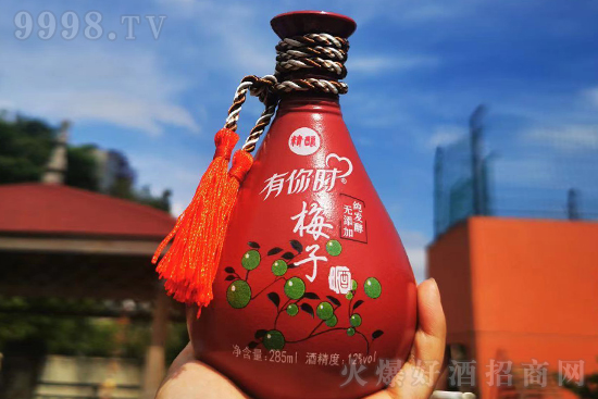 12ϻƼ۸ ʱ÷Ӿ ͶȻ285ml۸񣬶Ǯ