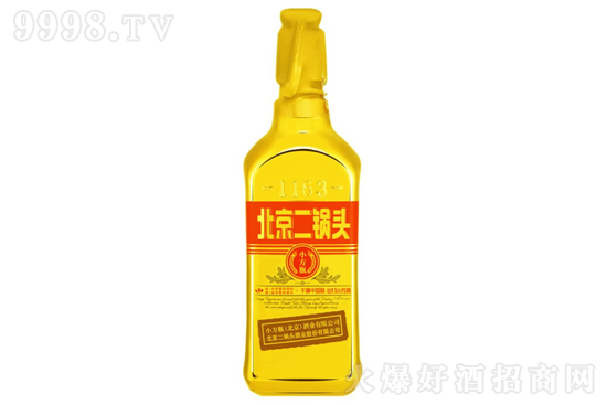 46ƱͷƳСƿƿ500ml۸񣬶Ǯ