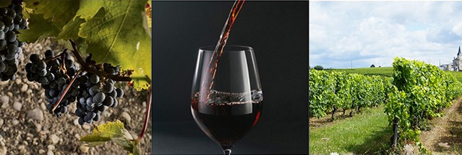 FʸɺѾ14.5750ml