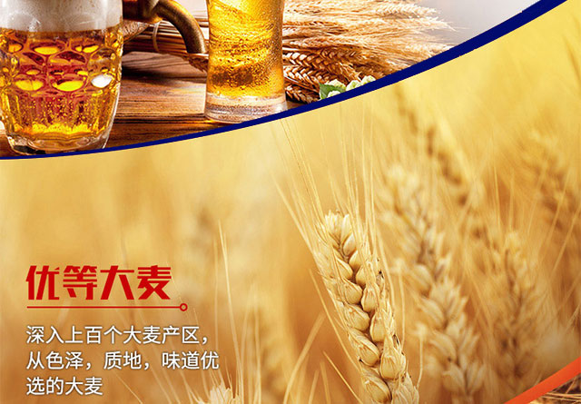 ơ500ml12ޣ䣩